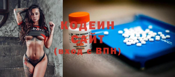 гидра Кодинск