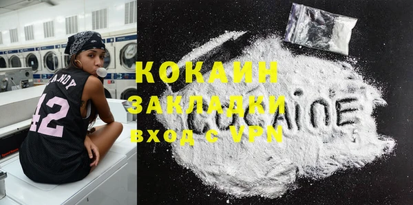 гидра Кодинск