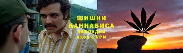 гидра Кодинск
