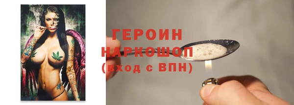гидра Кодинск