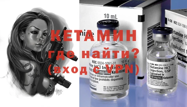 гидра Кодинск