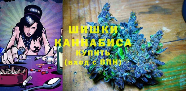гидра Кодинск