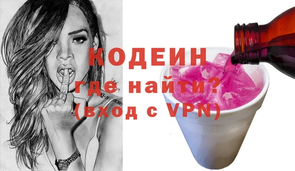гидра Кодинск