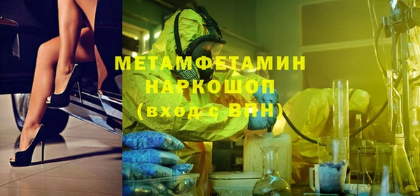 гидра Кодинск
