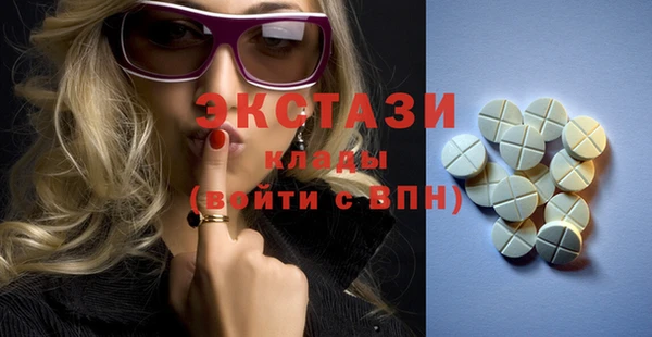 гидра Кодинск