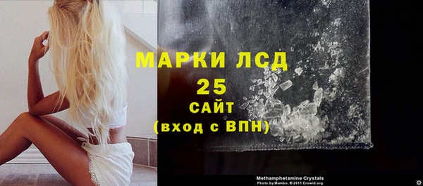 гидра Кодинск