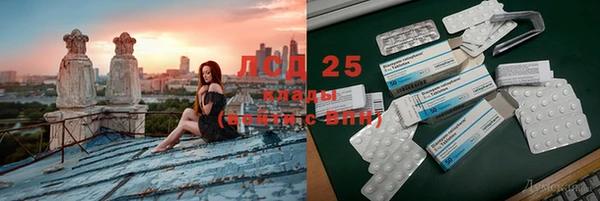 гидра Кодинск