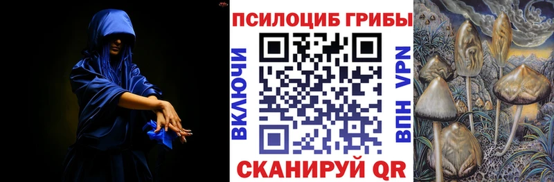 Псилоцибиновые грибы Psilocybine cubensis  Щигры 